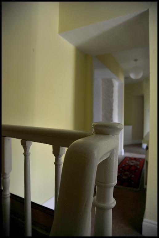 Wisteria House B&B Cloyne Екстериор снимка