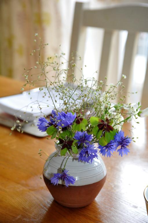 Wisteria House B&B Cloyne Екстериор снимка